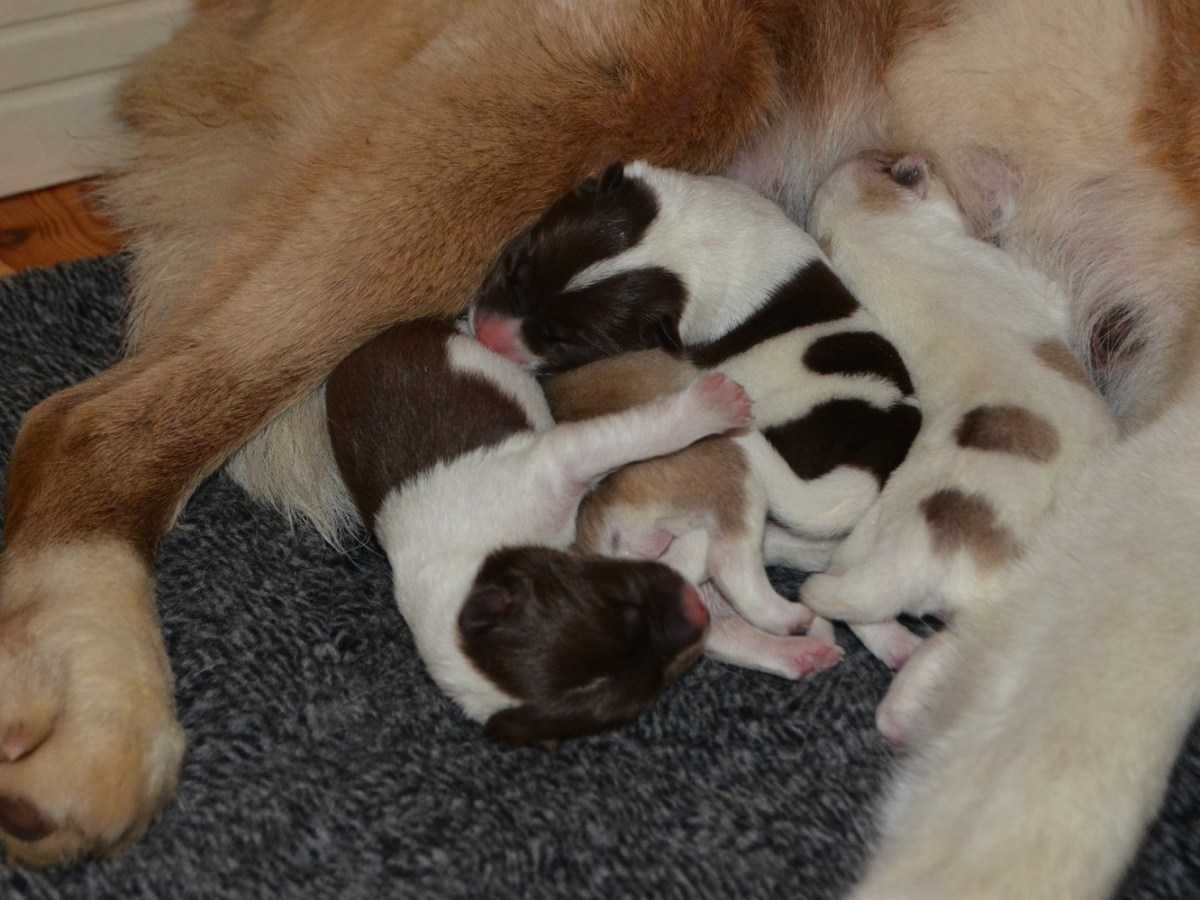 Kull 6 – velkommen til&nbsp;verden!