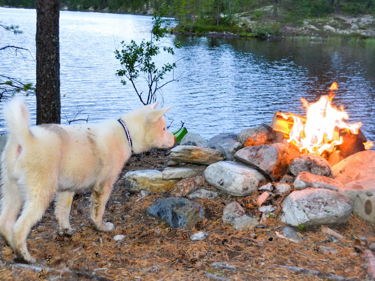 Ferie er å gjøre noe&nbsp;annet