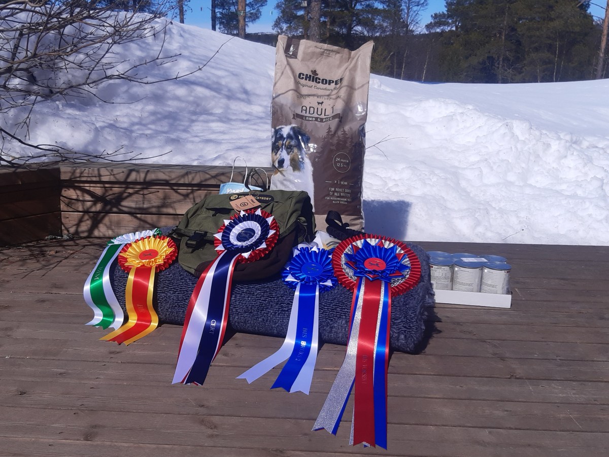 Strålende dag på&nbsp;utstilling