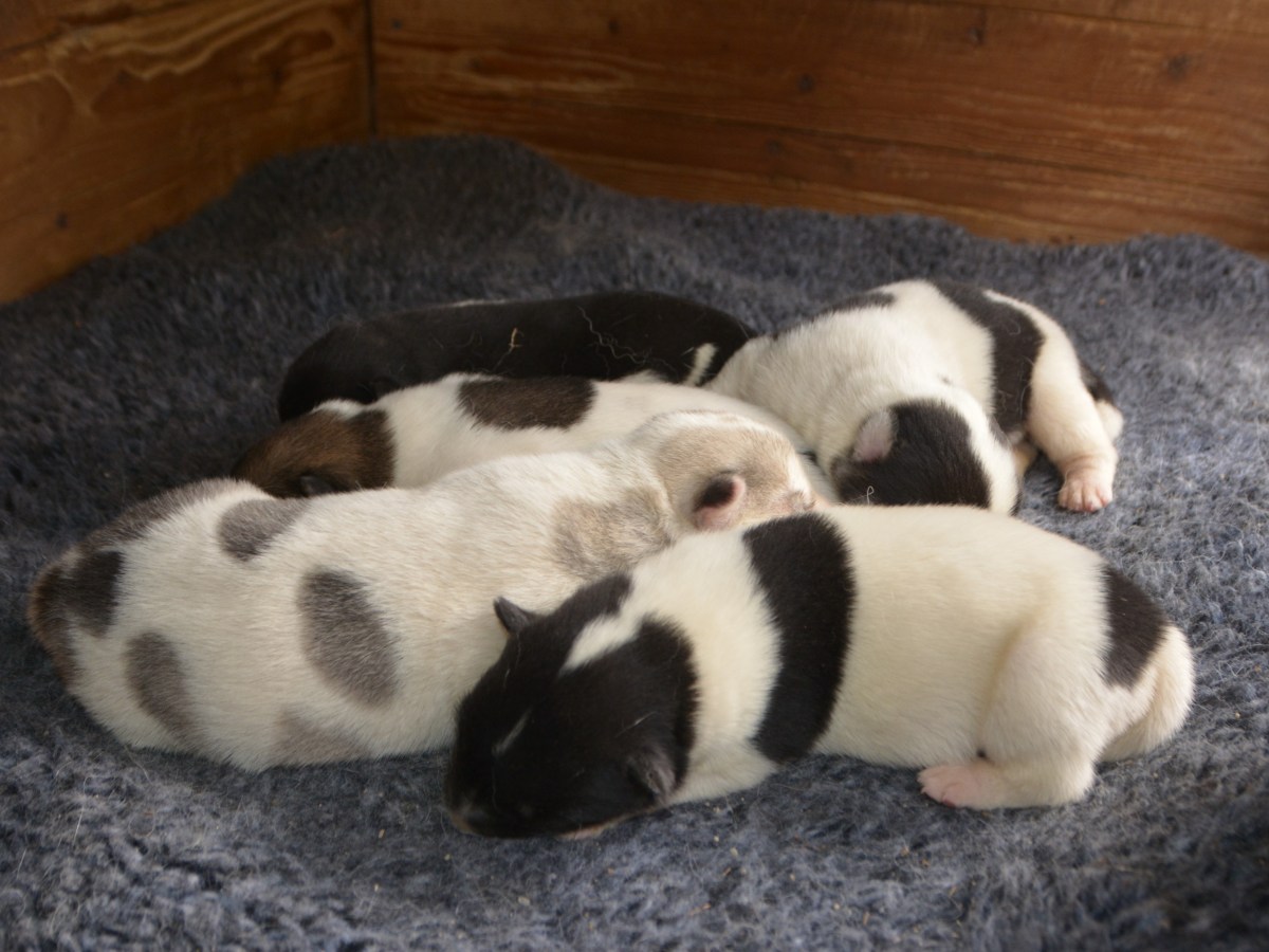 Kull 7 – velkommen til&nbsp;verden!